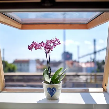 Bea * 브라티슬라바